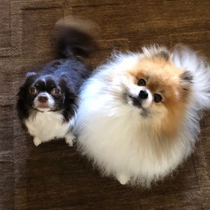 Meet your Posher, Eric